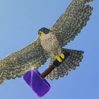 Віктор Молоканов| Сокіл G на we.ua