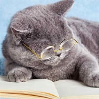 KnihunyaOlha на we.ua