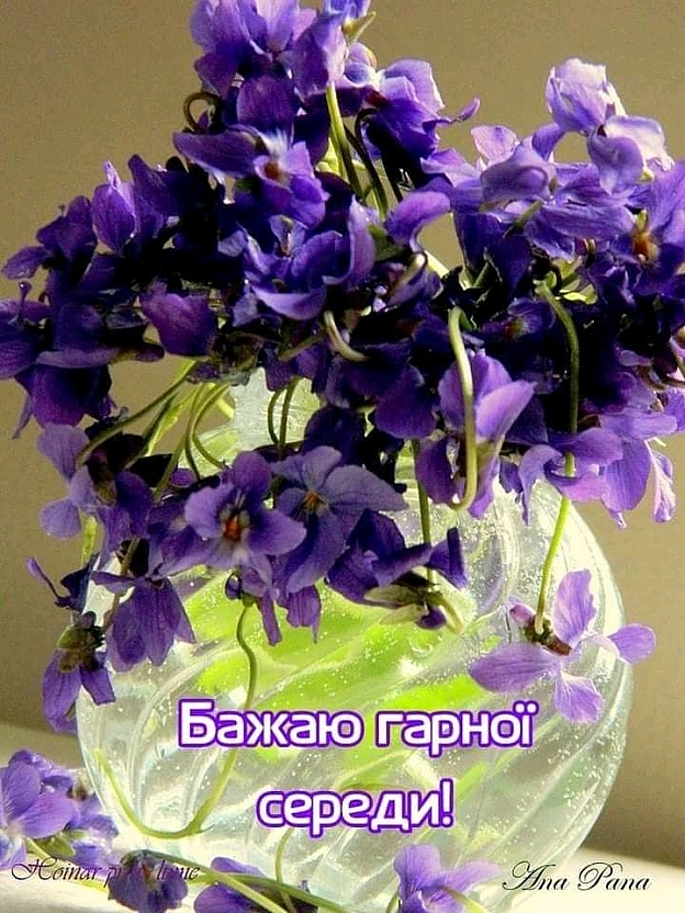 Сергій Фрешчепкін на we.ua