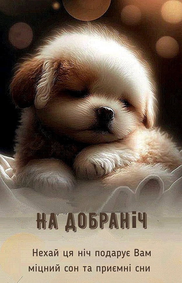 Сергій Фрешчепкін на we.ua