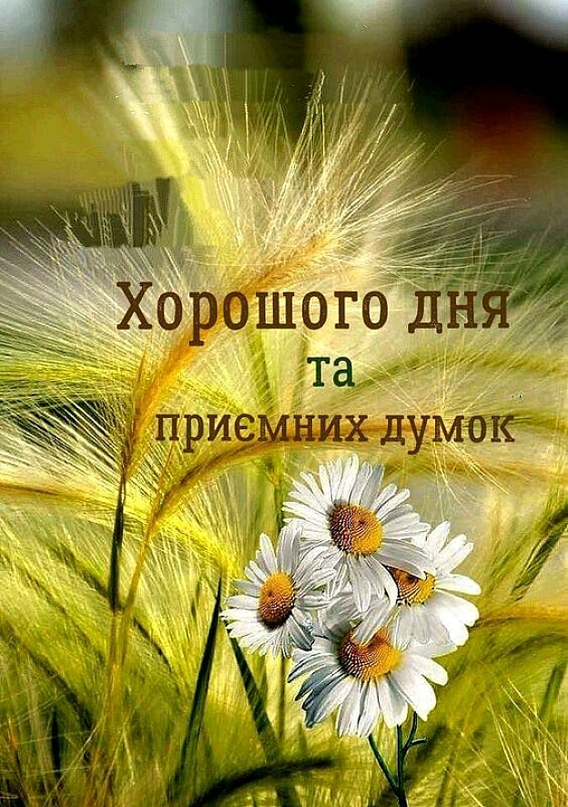 Сергій Фрешчепкін на we.ua