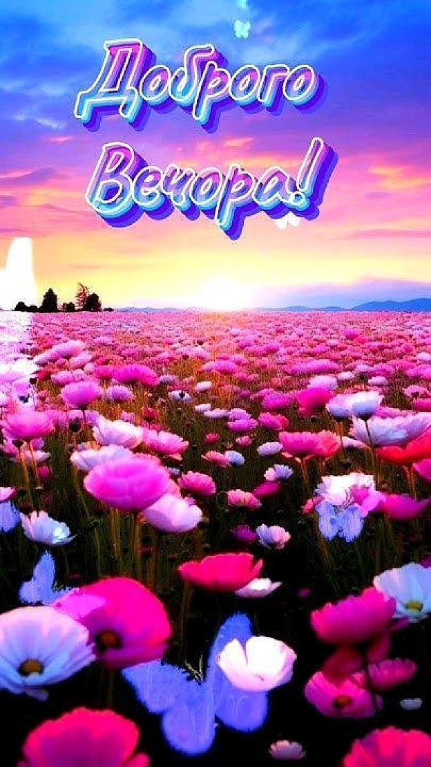 on we.ua