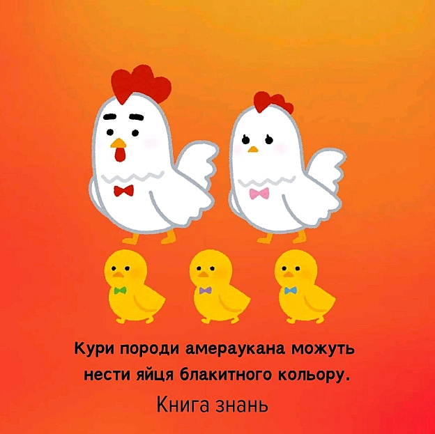 на we.ua