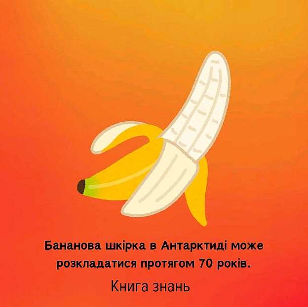 на we.ua