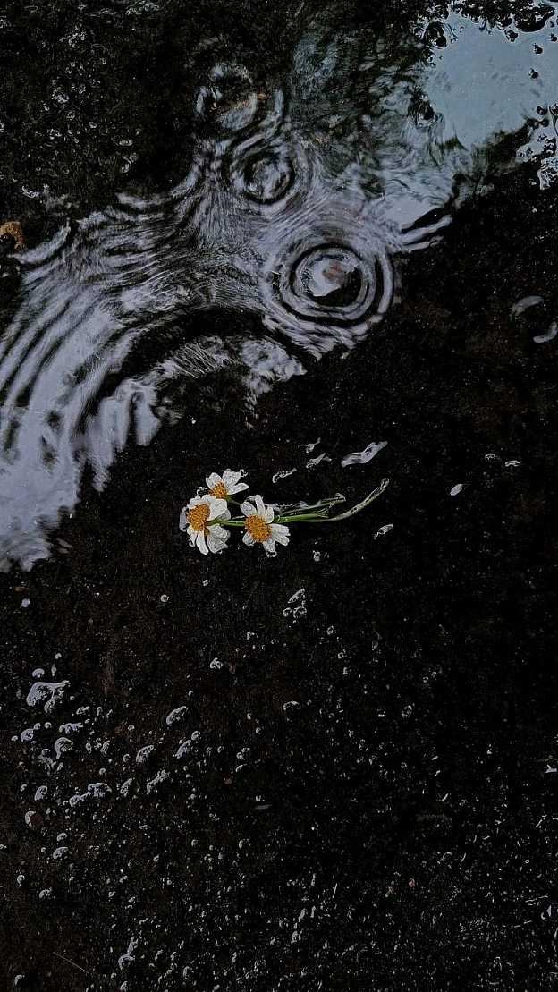 ⚡️ Запамʼятай:Не створюй ілюзію сили, коли болить.Сльози — це не слабкість, це спосіб вивільнити біль. Бути вразливим(-ою) озн... - на we.ua