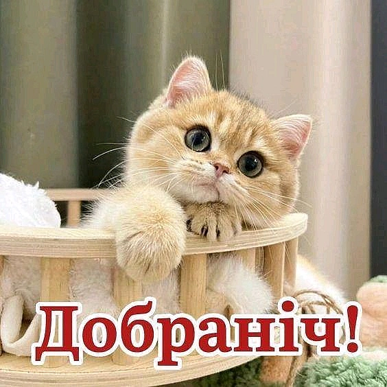 на we.ua
