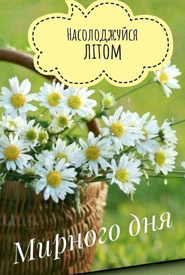 на we.ua