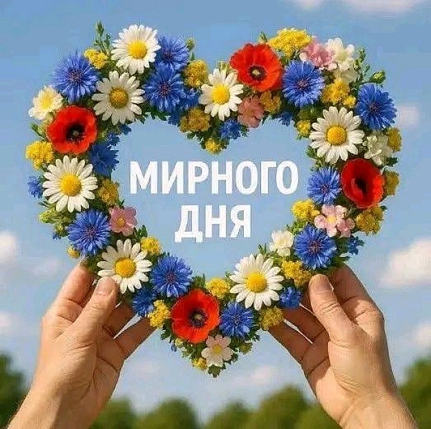 на we.ua