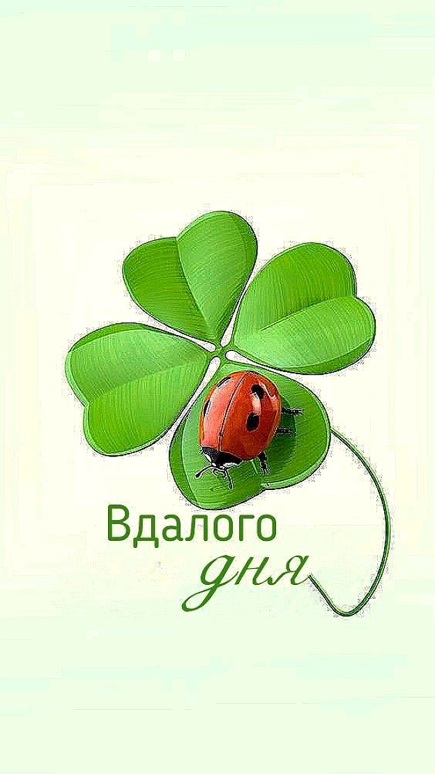 на we.ua