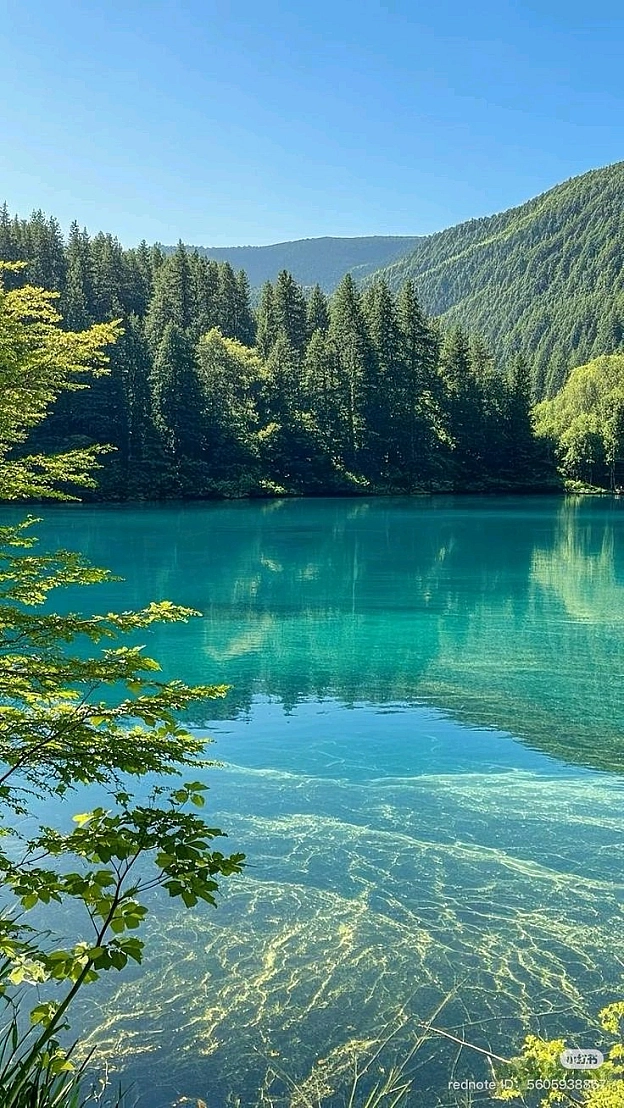 на we.ua