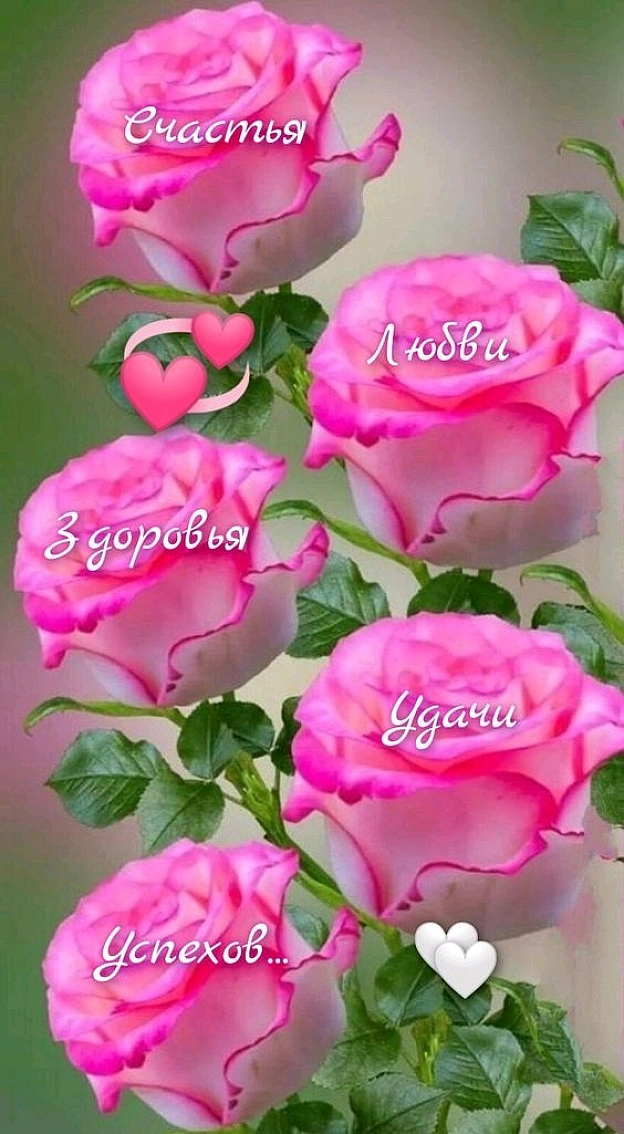 Сергій Фрешчепкін на we.ua