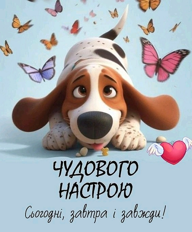 на we.ua