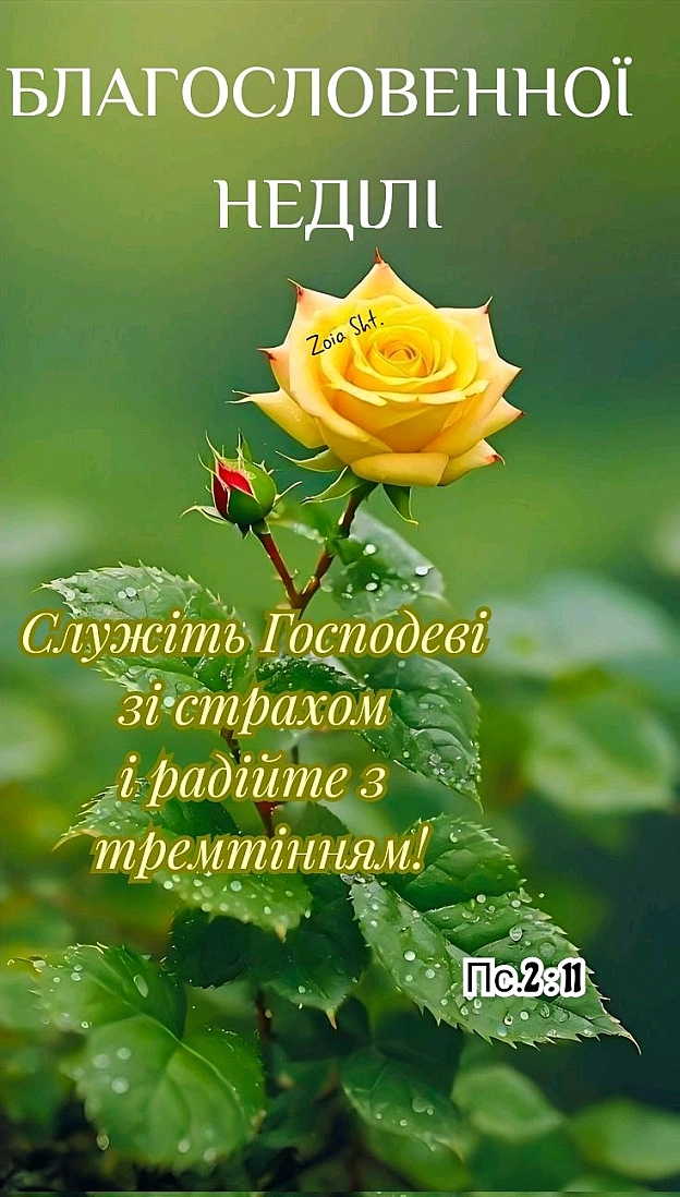 Сергій Фрешчепкін на we.ua