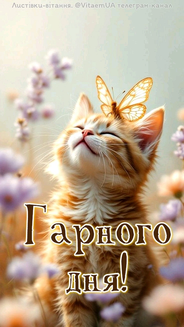 на we.ua