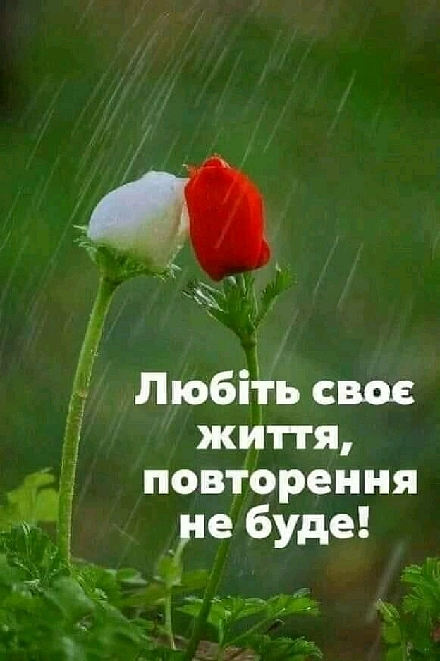 на we.ua