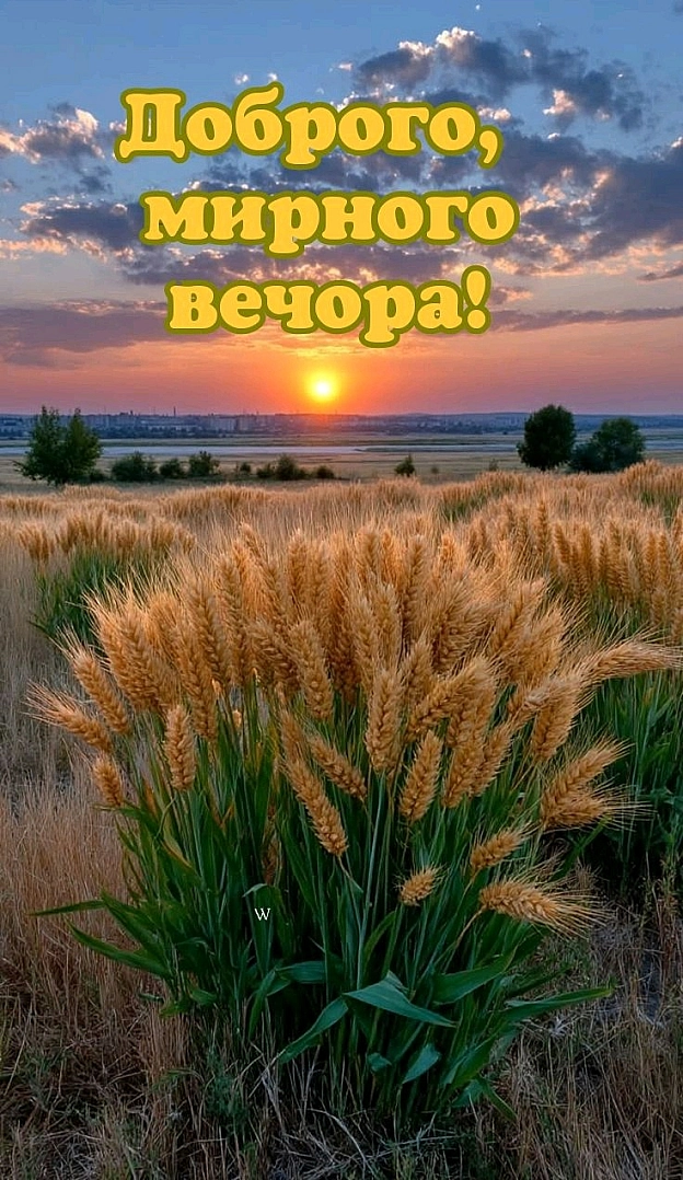 на we.ua
