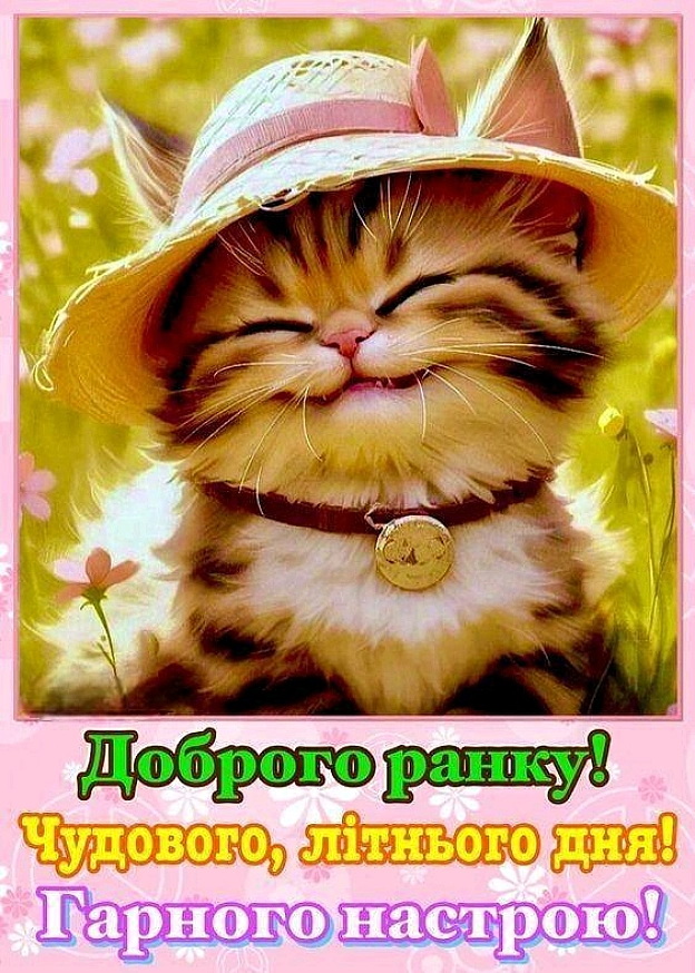 на we.ua