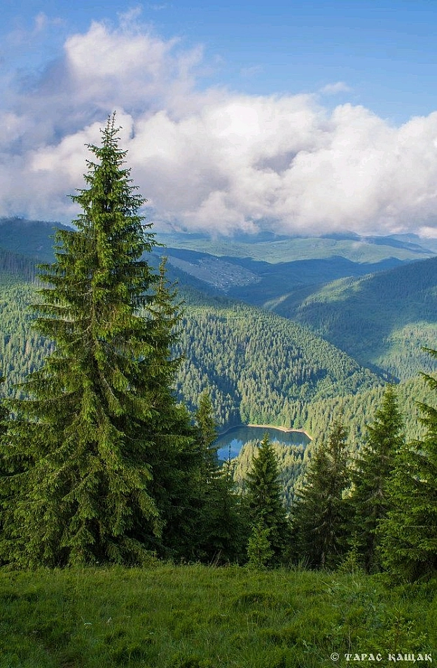 на we.ua