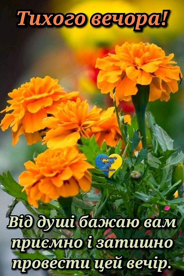 на we.ua