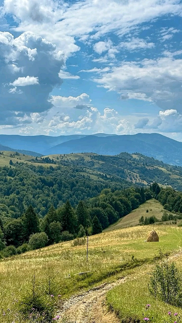 на we.ua