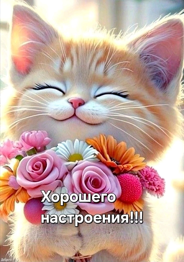 на we.ua