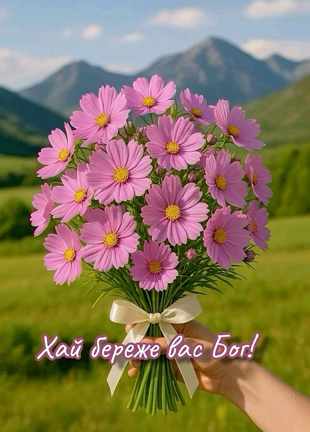на we.ua
