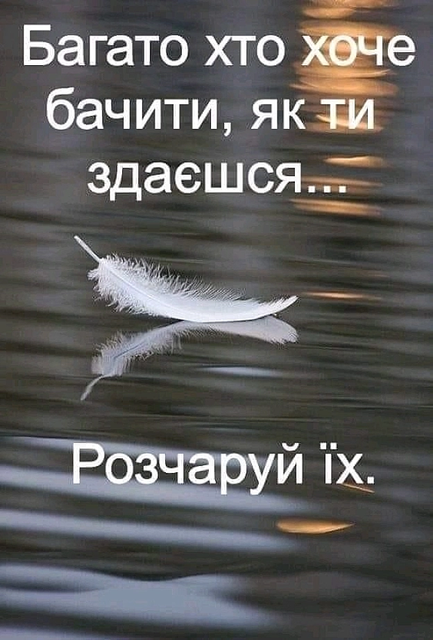 на we.ua
