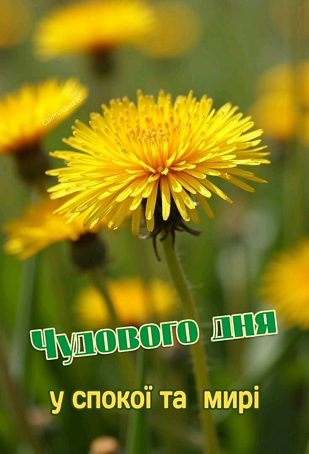 на we.ua
