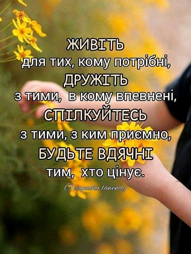 на we.ua