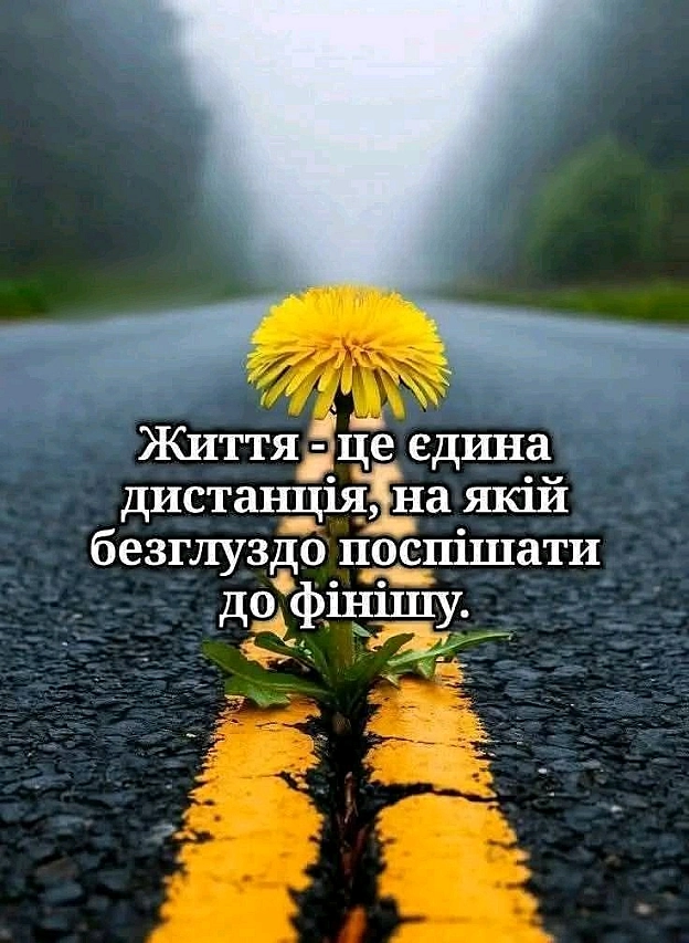 на we.ua