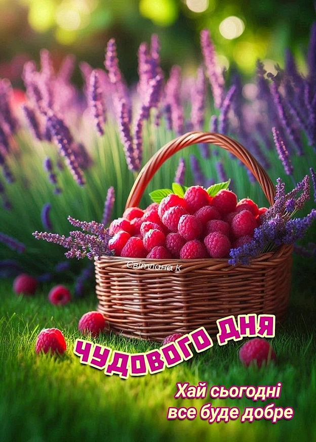 на we.ua