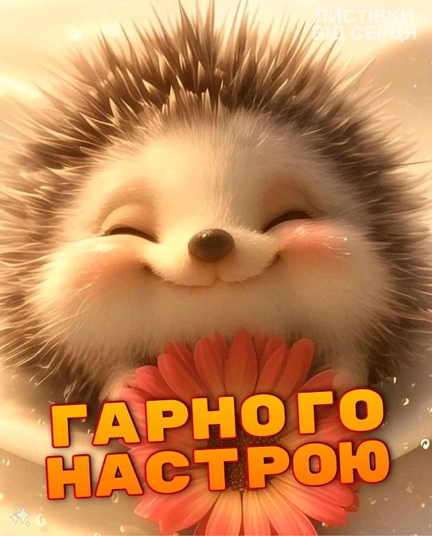 на we.ua