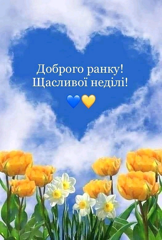 на we.ua