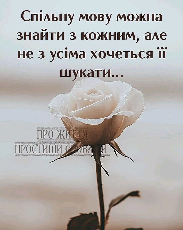 на we.ua