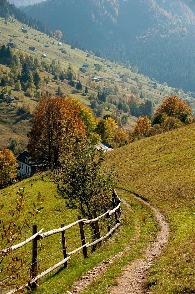 на we.ua