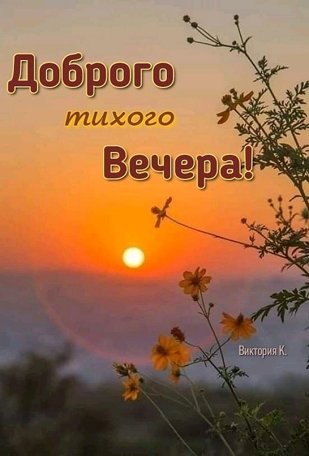 на we.ua