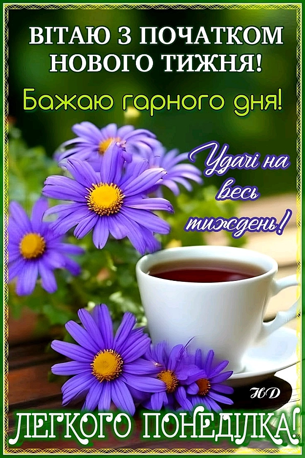 на we.ua
