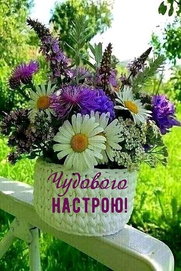 на we.ua