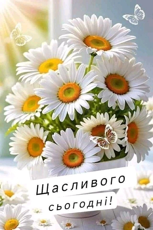 на we.ua