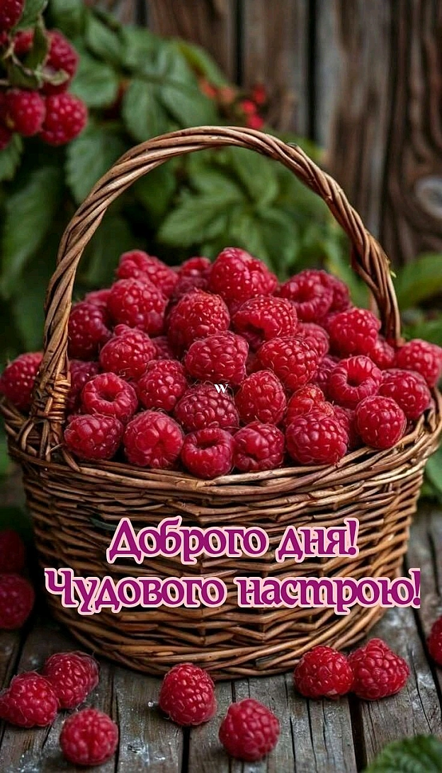 на we.ua