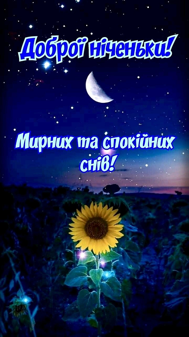на we.ua