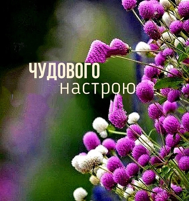 на we.ua