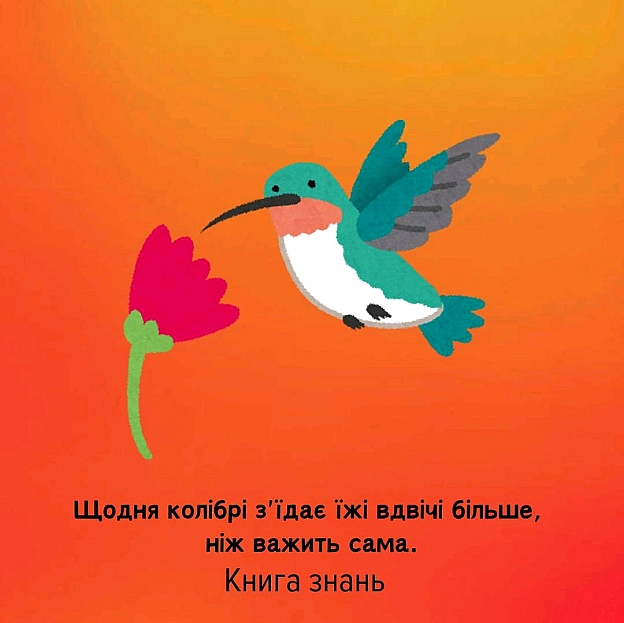 на we.ua