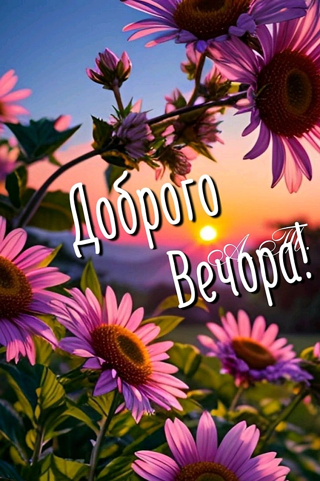 на we.ua