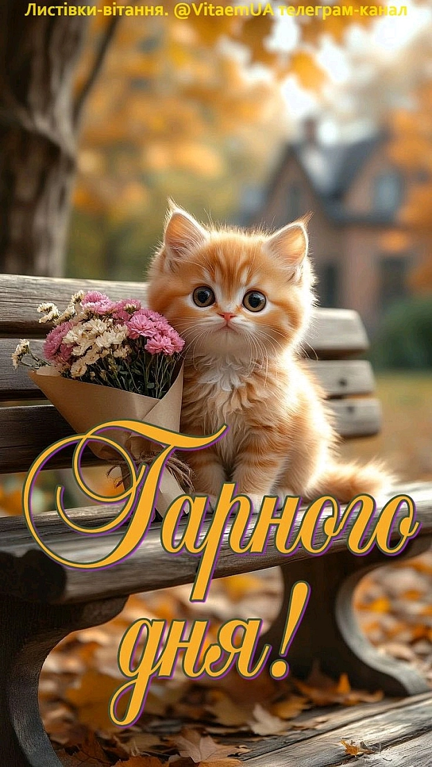 на we.ua