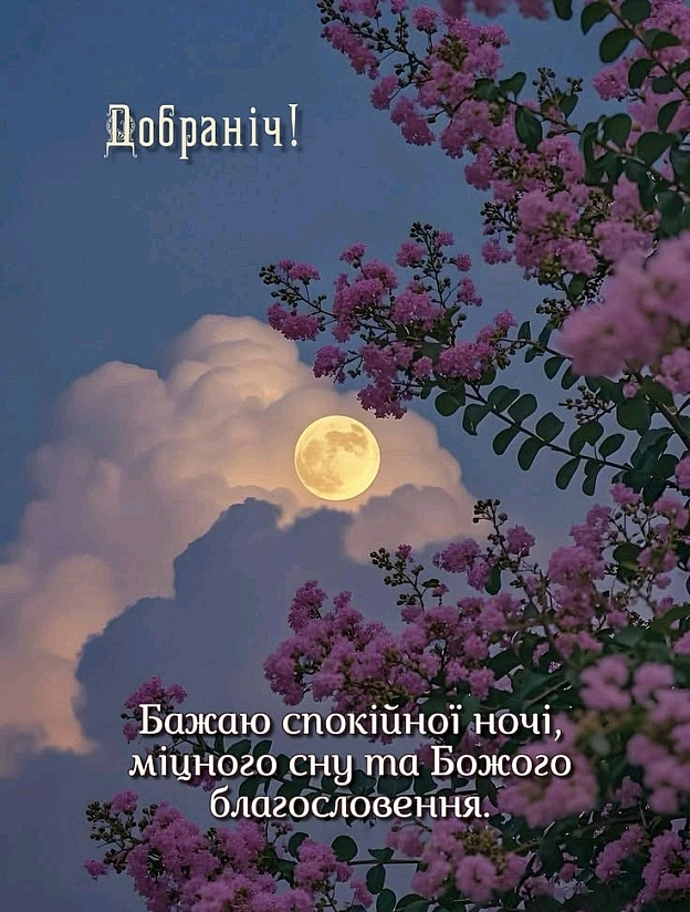 на we.ua