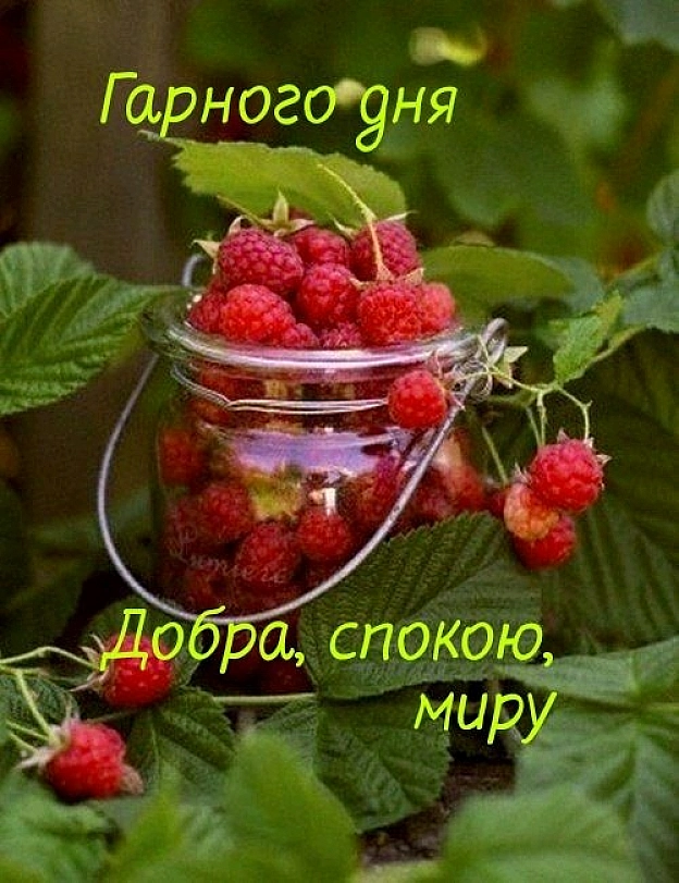 на we.ua