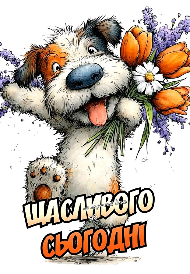 на we.ua