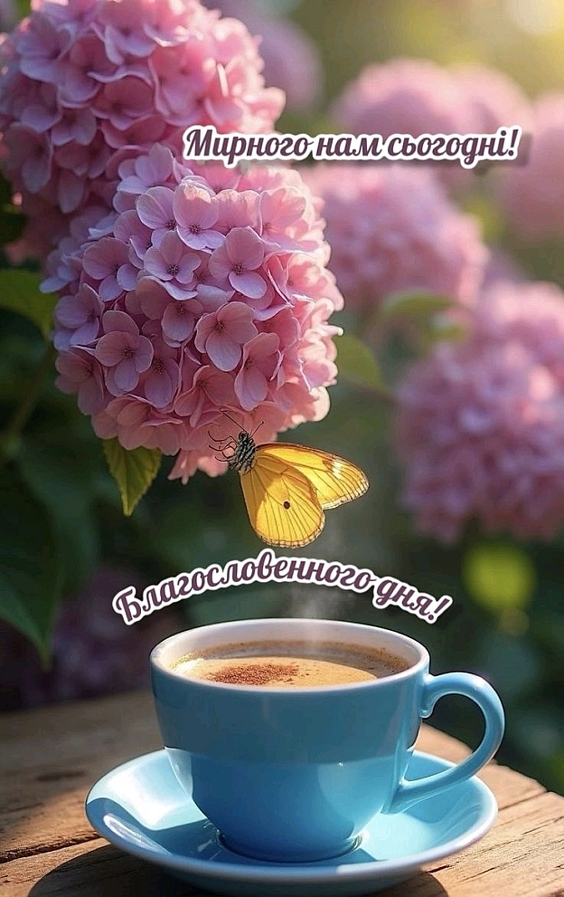 на we.ua