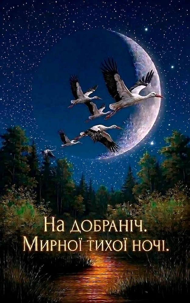 на we.ua